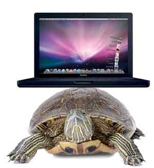 Turtle Speed for Mac OS X Lion